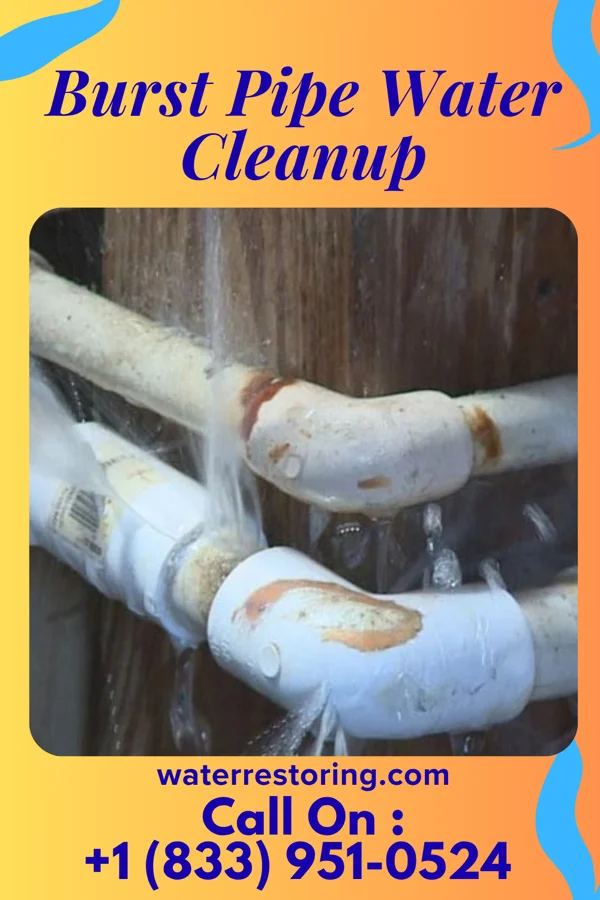 Burst Pipe Water Cleanup in Sherman, IL