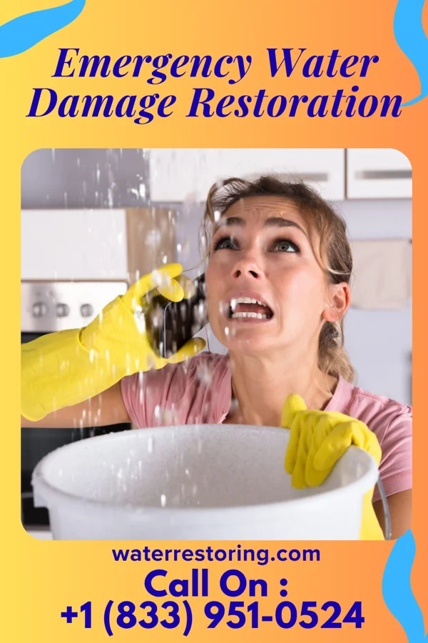Emergency Water Damage Restoration in Sherman, IL