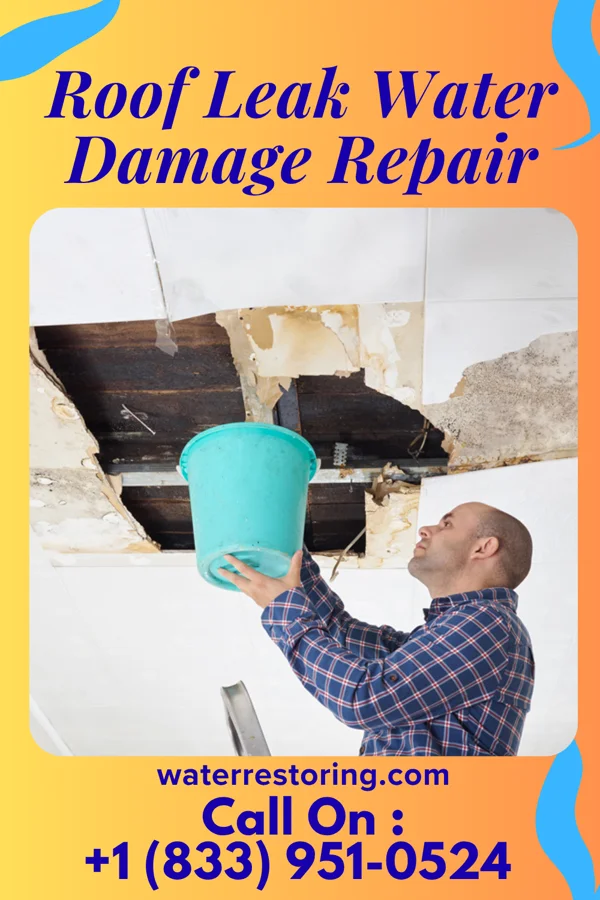 Roof Leak Water Damage Repair in Sherman, IL